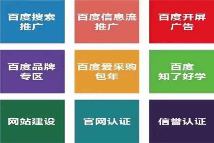 Sem优化公司成功案例：快速占领市场